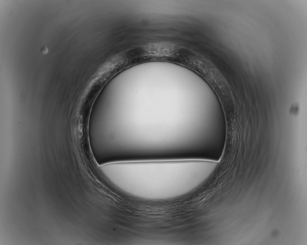 X0000099410731200805090727