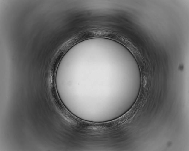 X0000099410733200805090727