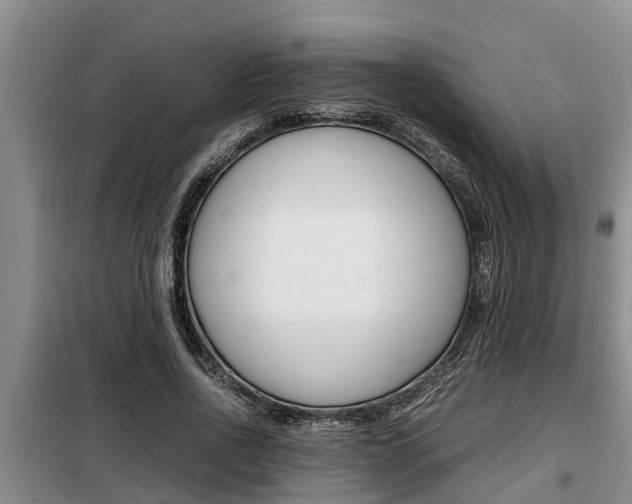X0000099410734200805090727
