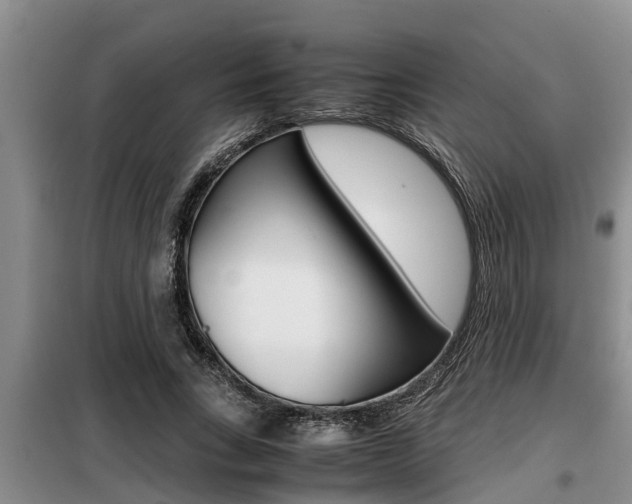 X0000099410735200805090727