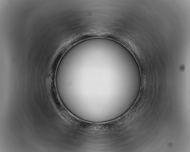 X0000099410736200805090727