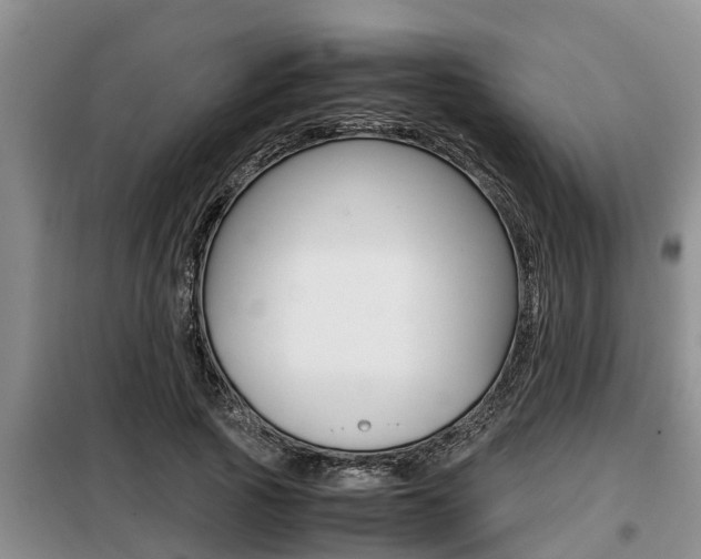 X0000099410737200805090727