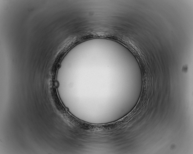 X0000099410738200805090727