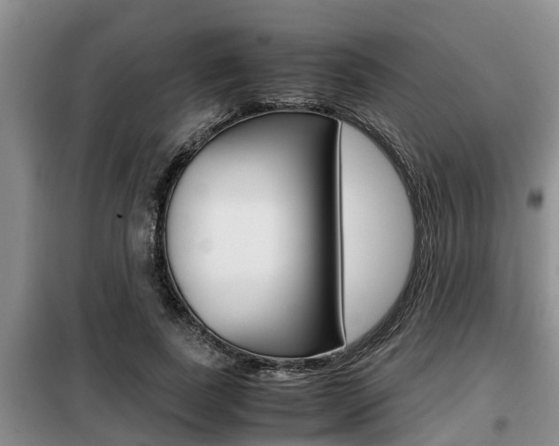 X0000099410739200805090727