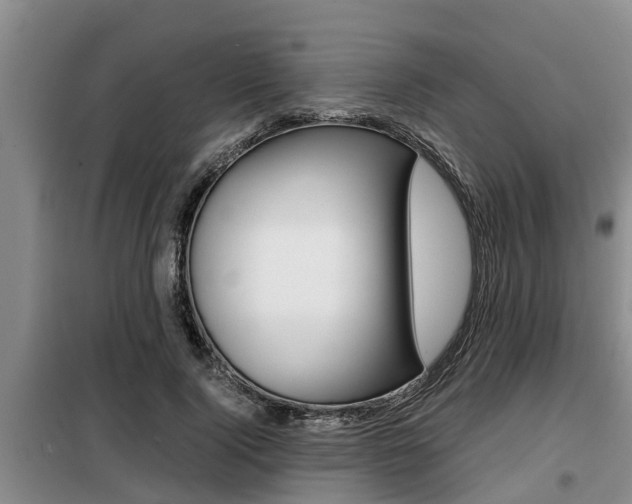 X0000099410740200805090727