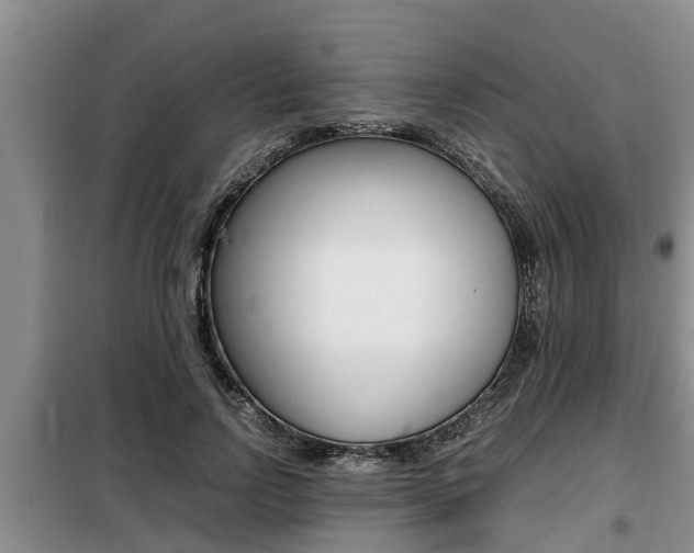 X0000099410742200805090727