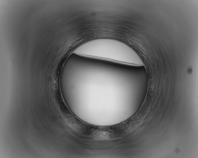 X0000099410743200805090727