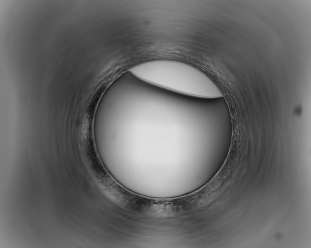 X0000099410744200805090727