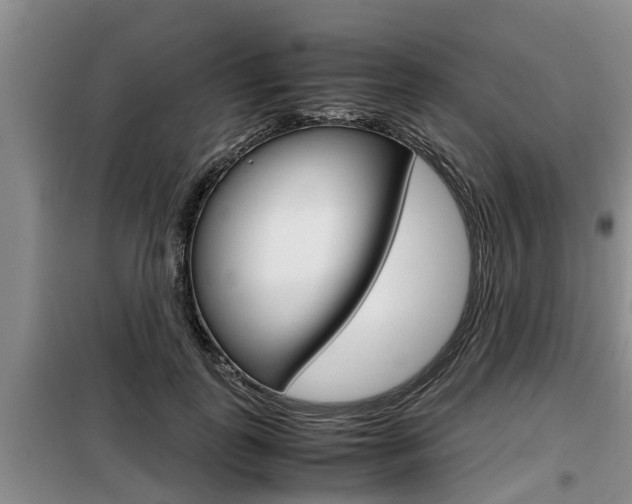 X0000099410747200805090727
