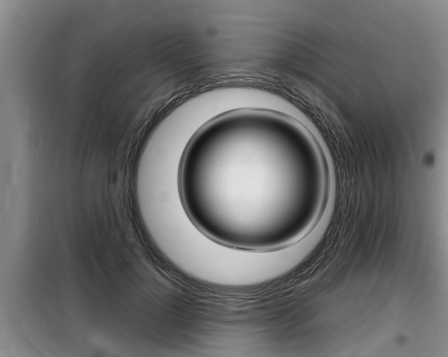 X0000099410748200805090727