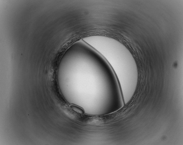 X0000099410750200805090727