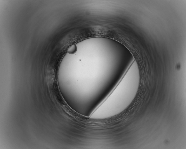 X0000099410752200805090727