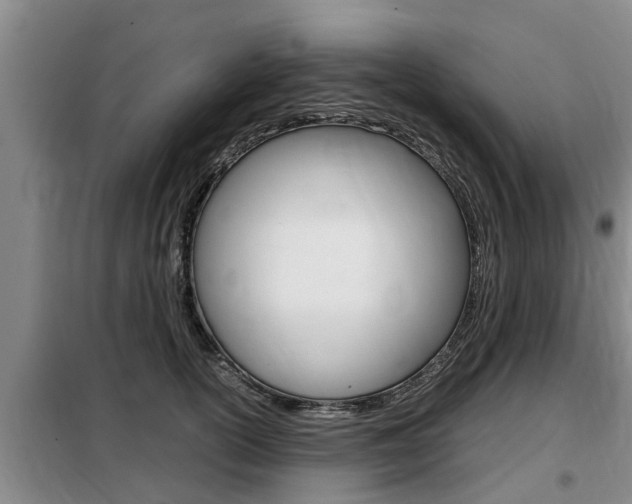 X0000099410754200805090727