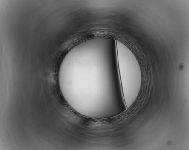 X0000099410755200805090727