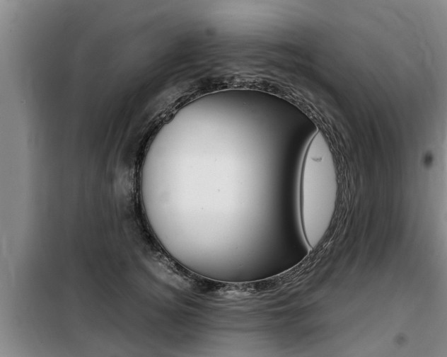 X0000099410756200805090727