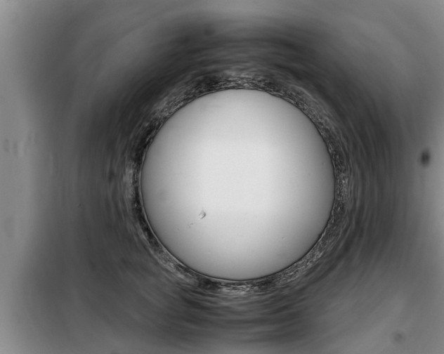 X0000099410757200805090727