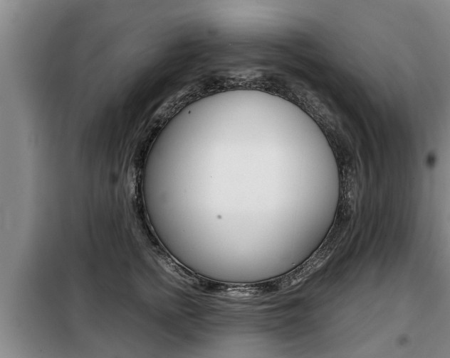 X0000099410758200805090727