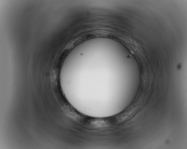 X0000099410759200805090727