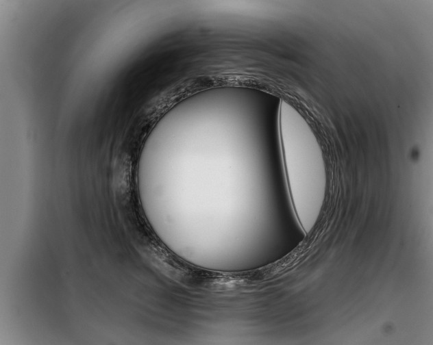 X0000099410760200805090727