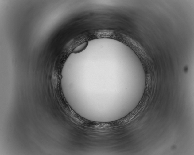 X0000099410761200805090727