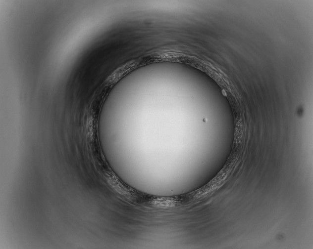 X0000099410762200805090727
