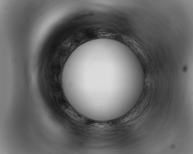 X0000099410763200805090727