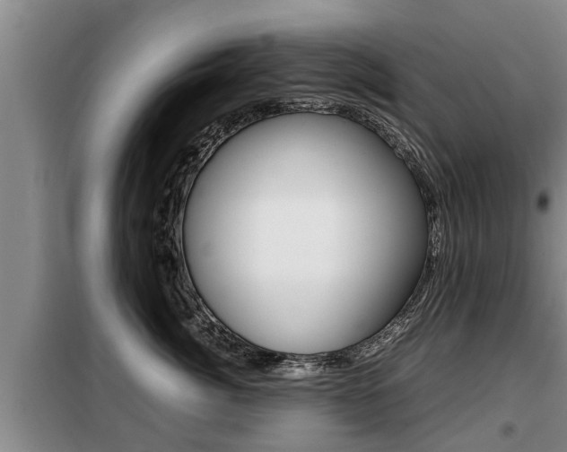 X0000099410764200805090727
