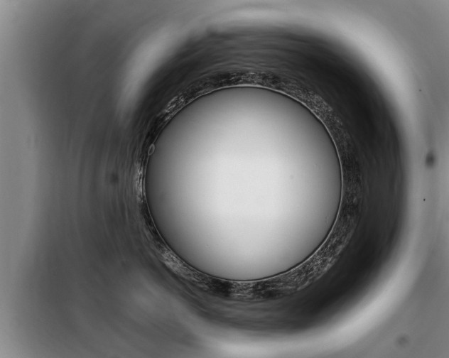 X0000099410766200805090727