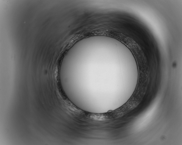 X0000099410767200805090727