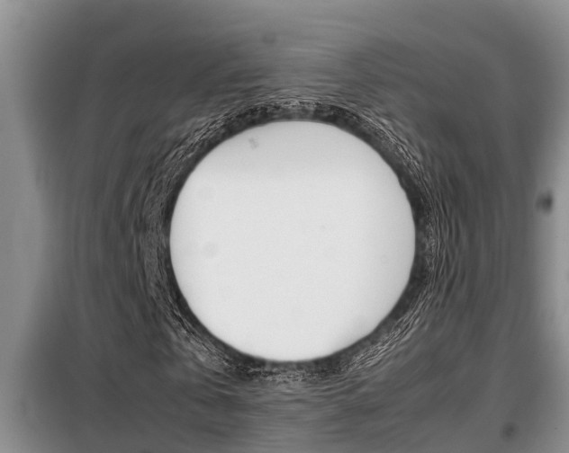 X0000099410769200805090726
