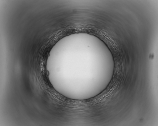 X0000099410770200805090726