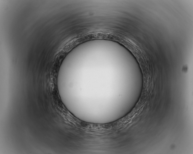 X0000099410774200805090726