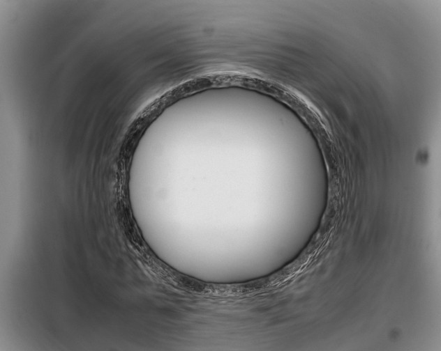 X0000099410775200805090726