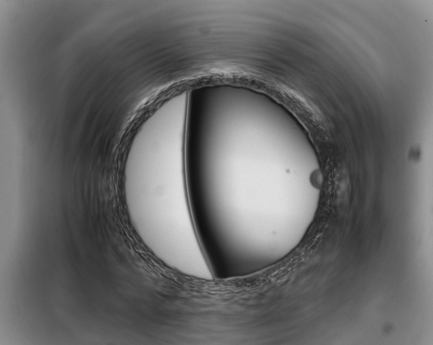 X0000099410776200805090726