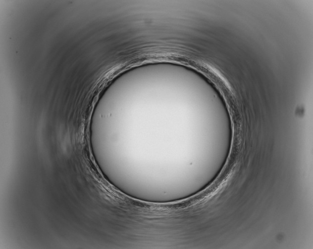 X0000099410777200805090726