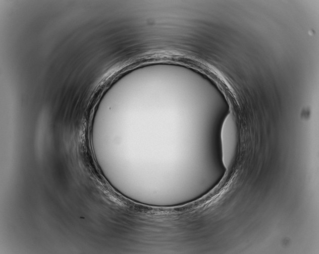 X0000099410778200805090726