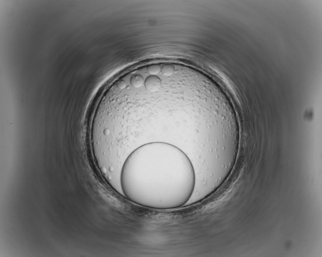 X0000099410779200805090726