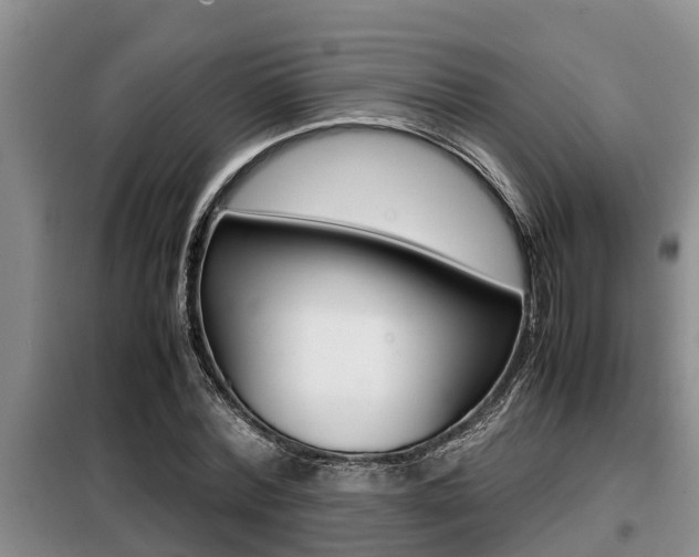 X0000099410780200805090726