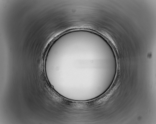 X0000099410781200805090726