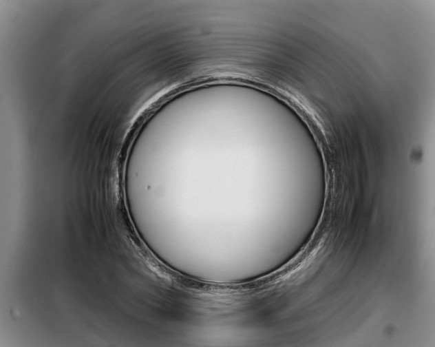 X0000099410782200805090726
