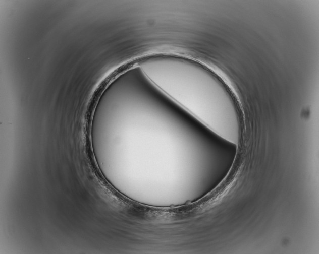 X0000099410783200805090726