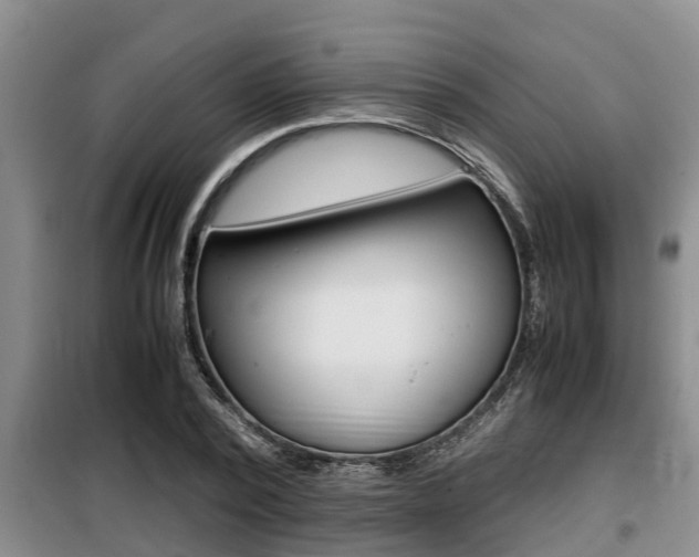 X0000099410784200805090726