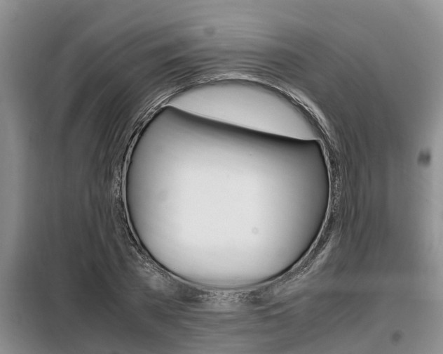 X0000099410785200805090726