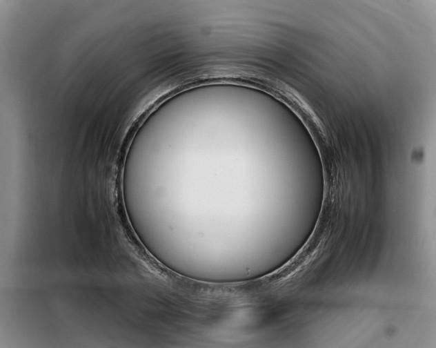 X0000099410786200805090726