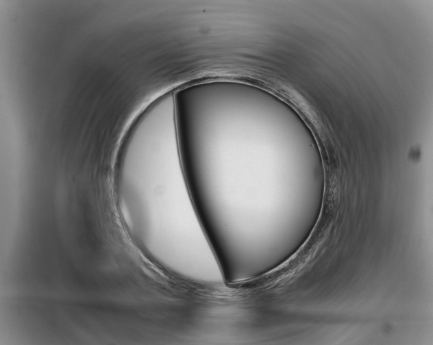 X0000099410787200805090726