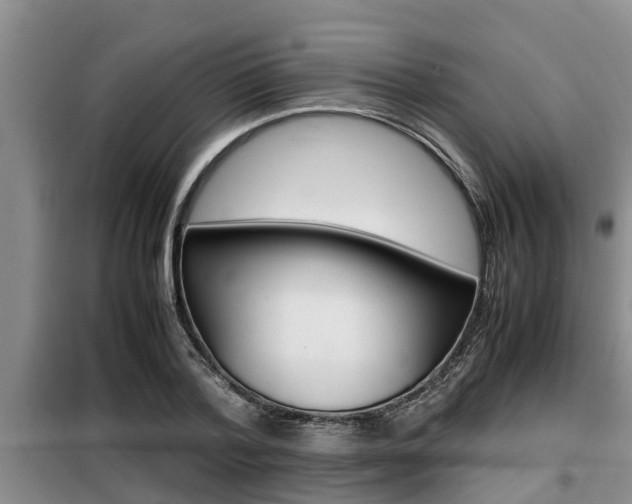 X0000099410788200805090726