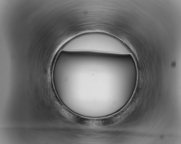 X0000099410789200805090726