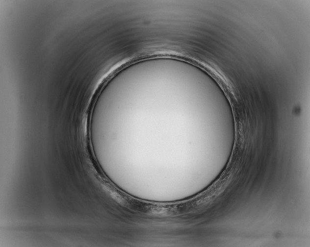X0000099410790200805090726