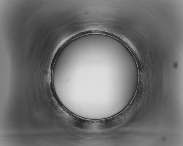 X0000099410791200805090726