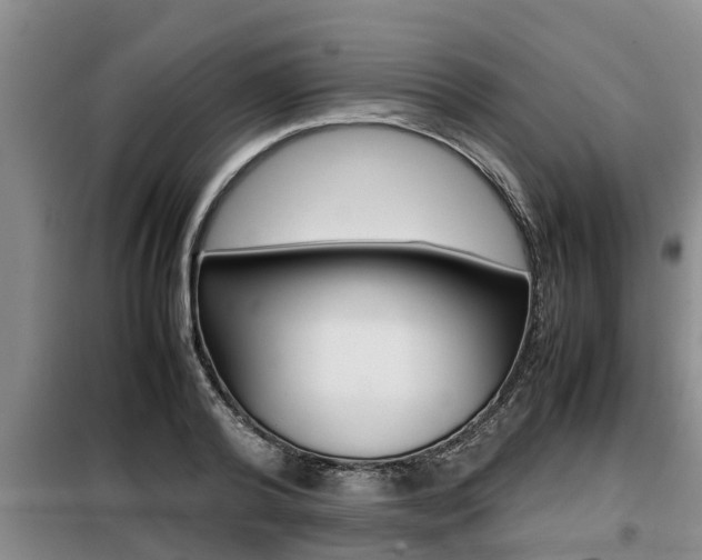 X0000099410792200805090726